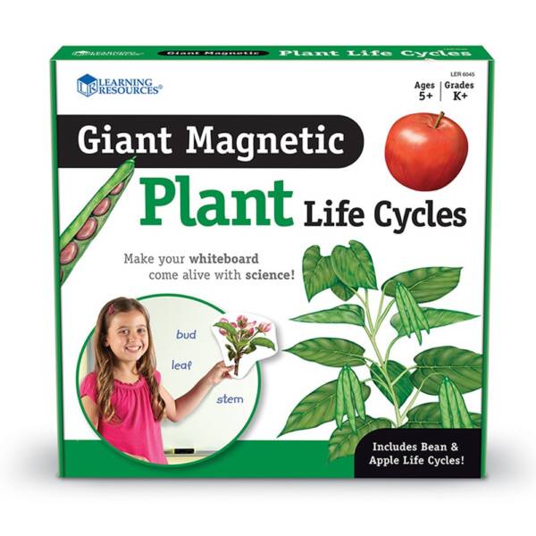LR-Giant Magnetic Plant Life Cycle