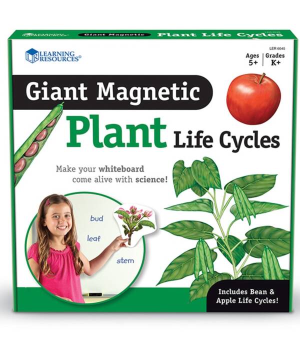 LR-Giant Magnetic Plant Life Cycle