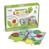 LR-Sensory Leaves Math Activity Set