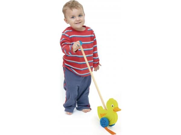 Push Toy - Duck - Image 3